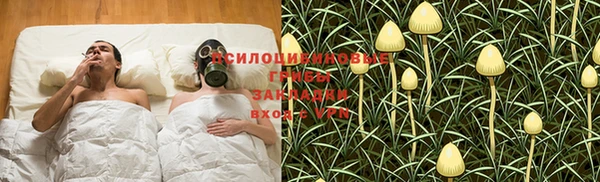 jwh Аркадак