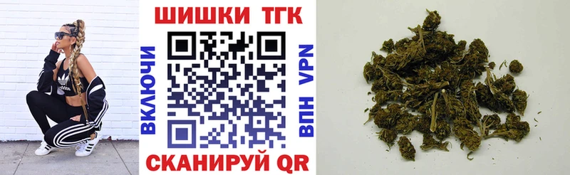 где купить наркотик  Дорогобуж  Марихуана сатива 